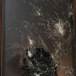 Meet your Posher, Ashton